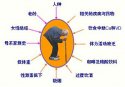 超声91视频下载免费仪测量91视频下载免费的意义
