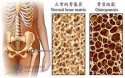 91视频下载免费仪厂家告诉您91视频下载免费的不同时期