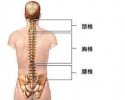91视频下载免费测量仪讲述脊椎疼痛的原因