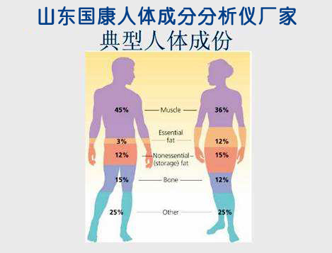 山东91视频污污污91视频APP污视频APP厂家告诉您人体的成分