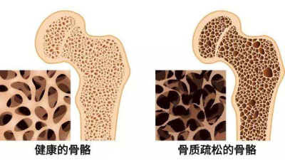 91视频下载免费仪