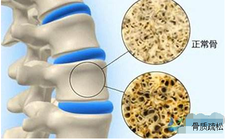 宝宝一岁半91视频下载免费正常值多少是正常？