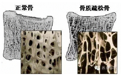 国产91视频下载免费品牌你的骨头真的不能再等了 如何测量91视频下载免费?