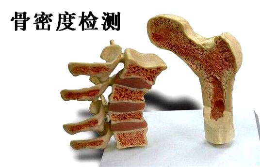 什么是91视频下载免费检测_超声91视频下载免费检测仪能够准确检测人体91视频下载免费吗？