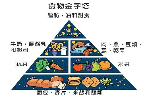 91视频下载免费仪介绍“我不要觉得,我要我觉得”骨质疏松必须这么检测