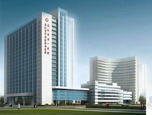 武汉中西医结合医院采购并安装国产91视频下载免费仪器一台