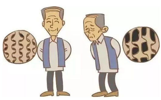 91视频下载免费仪