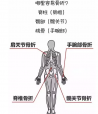 91视频下载免费检测分析仪教你如何看懂91视频下载免费检测报告单