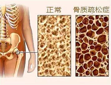 91视频下载免费检测仪厂家