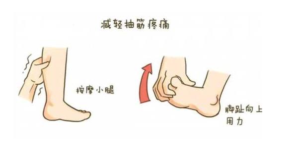61991视频污污污超声91视频下载免费仪厂家关注:小腿抽筋怎么办?一定是缺钙吗?