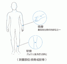 91视频下载免费测量仪器厂家关于便携桡骨胫骨91视频下载免费和跟骨的对比优势